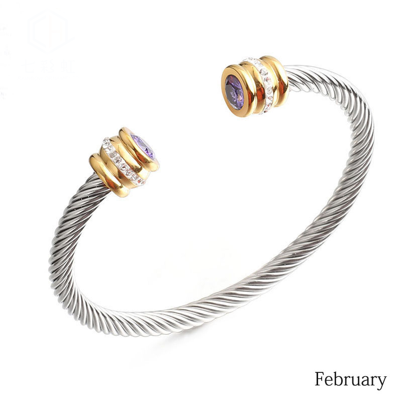6-12pcs/lot Colorful Diamond Birthstone Open Stainless Steel Bangle for Women February Women Bracelets Charms Beads Beyond