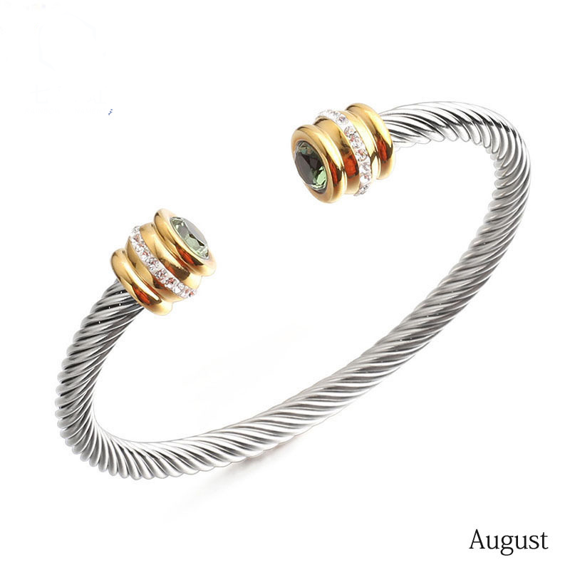6-12pcs/lot Colorful Diamond Birthstone Open Stainless Steel Bangle for Women August Women Bracelets Charms Beads Beyond