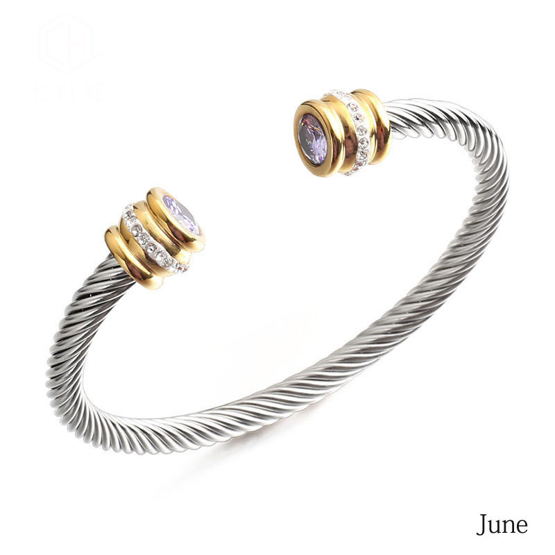 6-12pcs/lot Colorful Diamond Birthstone Open Stainless Steel Bangle for Women June Women Bracelets Charms Beads Beyond