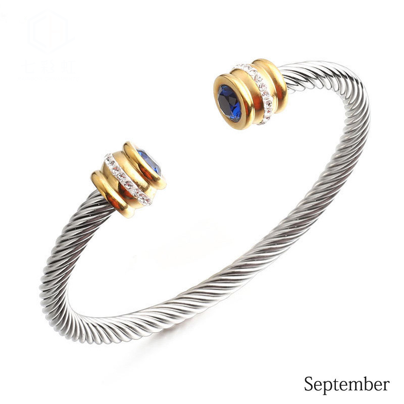 6-12pcs/lot Colorful Diamond Birthstone Open Stainless Steel Bangle for Women September Women Bracelets Charms Beads Beyond